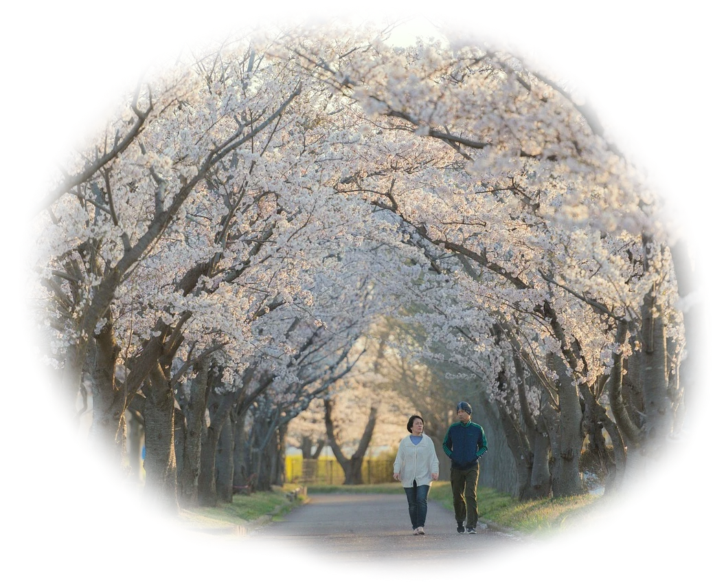 散歩風景
